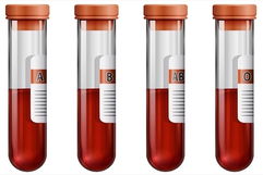 Imagen ilustrativa del artículo Tipos de sangre (A, B, AB, O) y compatibilidad