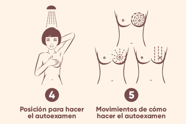 Imagem ilustrativa número 3