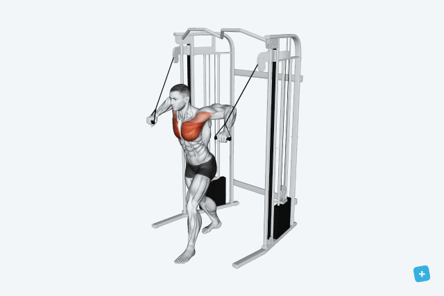 Illustrative image of the article Chest Workout: 5 Most Effective Exercises to Build Muscle