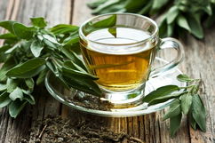 Imagen ilustrativa del artículo 13 beneficios del té verde, propiedades (y cómo preparar)